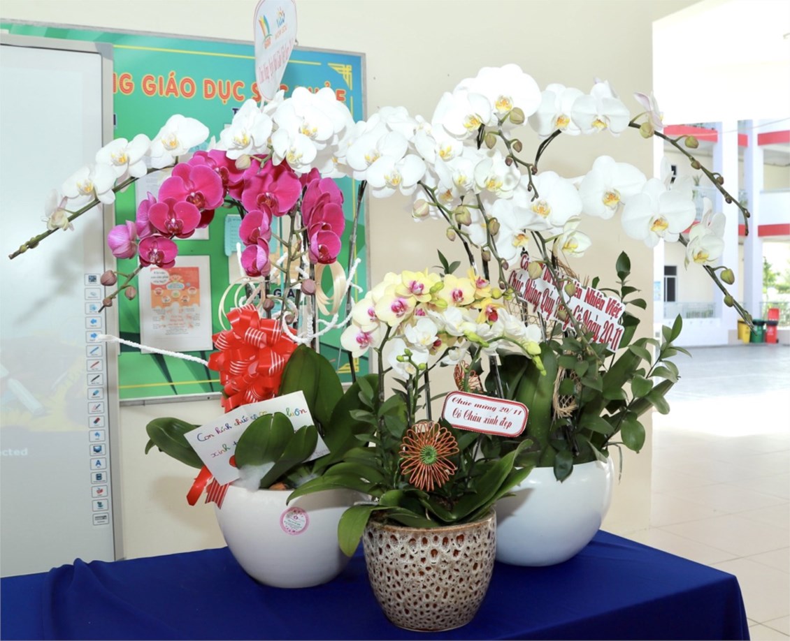 Nhấn vào ảnh để phóng to